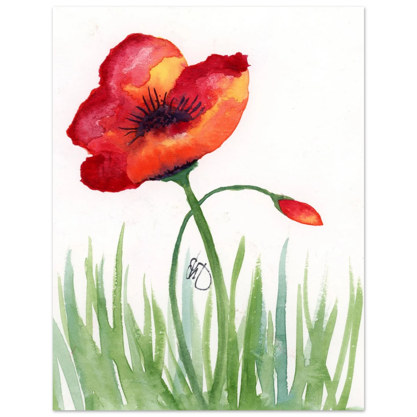 96284b71-5bd6-4234-a9b2-d6be1b734bfc