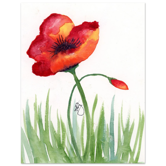 96284b71-5bd6-4234-a9b2-d6be1b734bfc